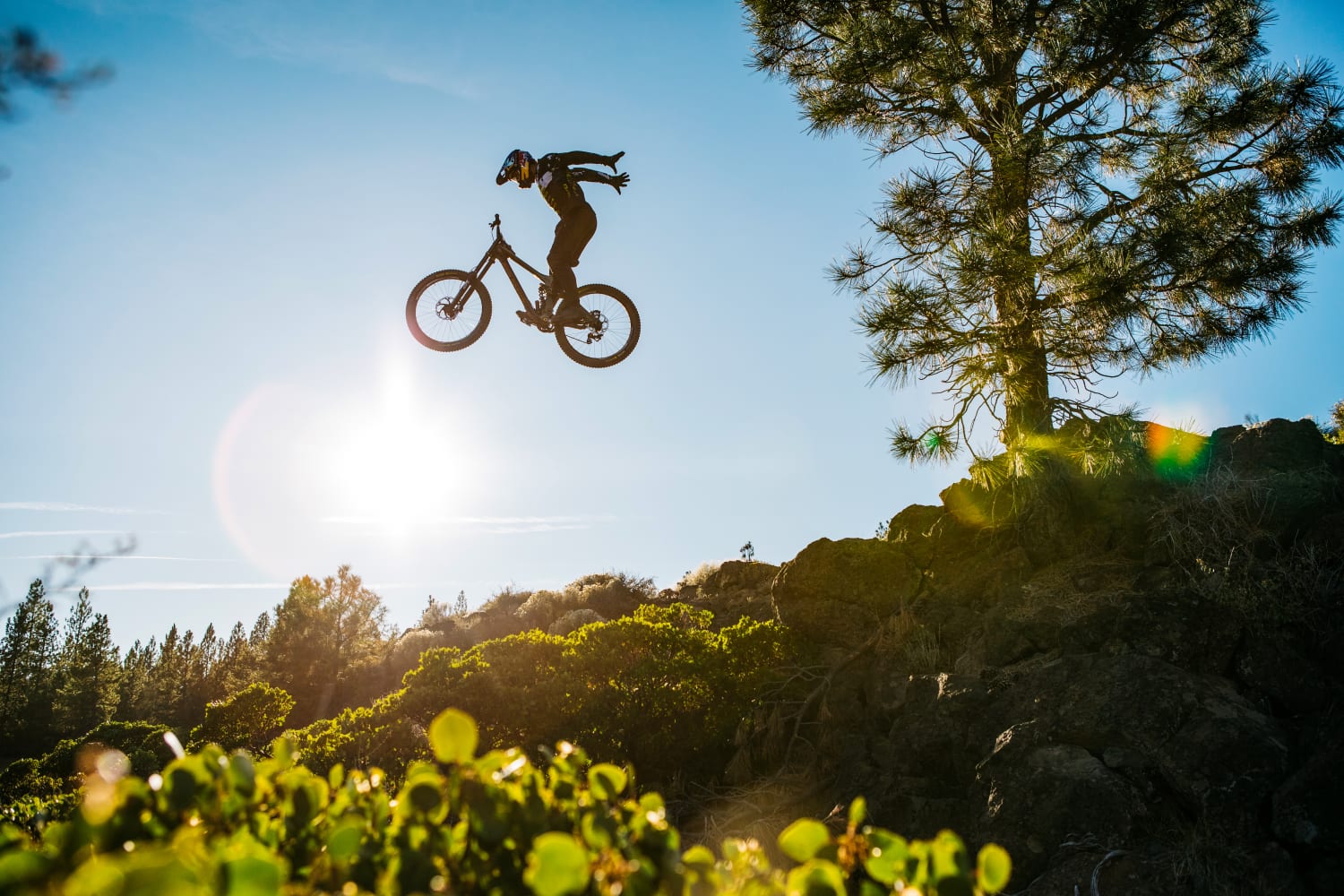 Sôs Coch Sinema: ACCOMPLICE MOMA Machynlleth